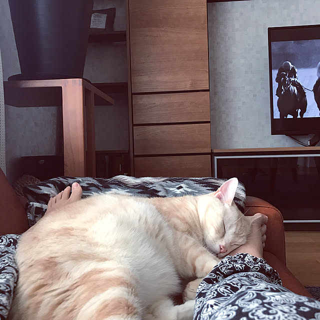 hiyupan88さんの実例写真