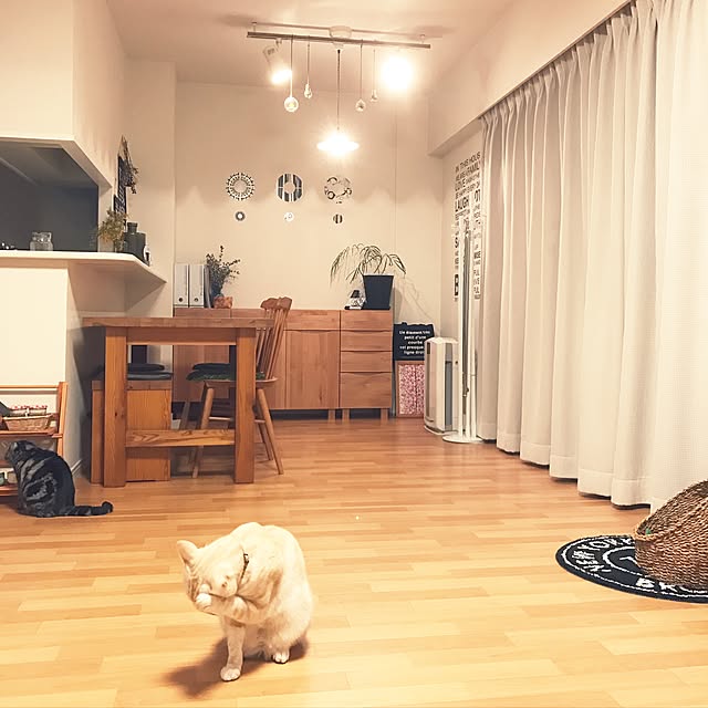 hiyupan88さんの実例写真