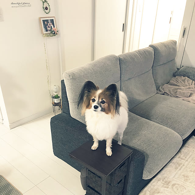 hiroさんの実例写真