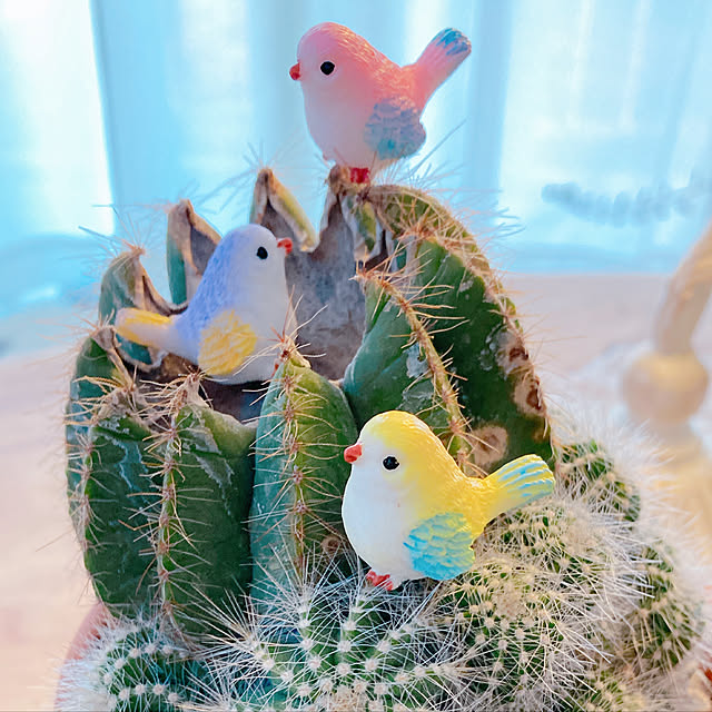 Hanakaさんの実例写真
