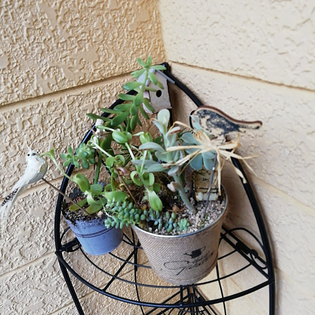 Tomopさんの実例写真