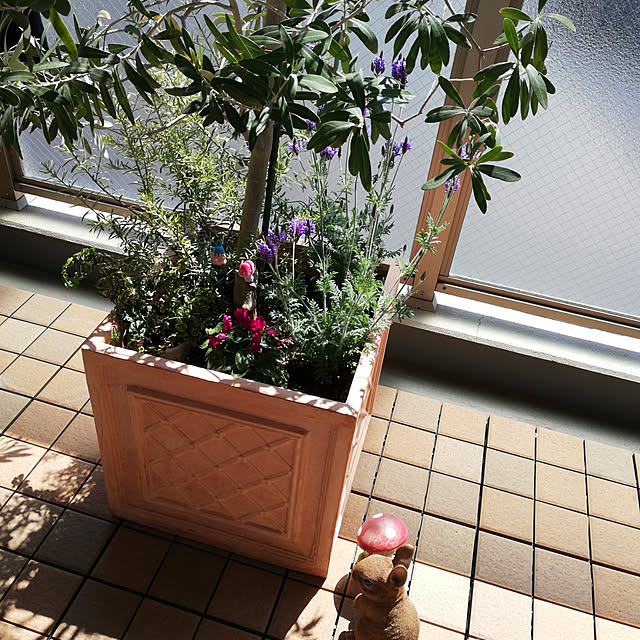 kotoripさんの実例写真