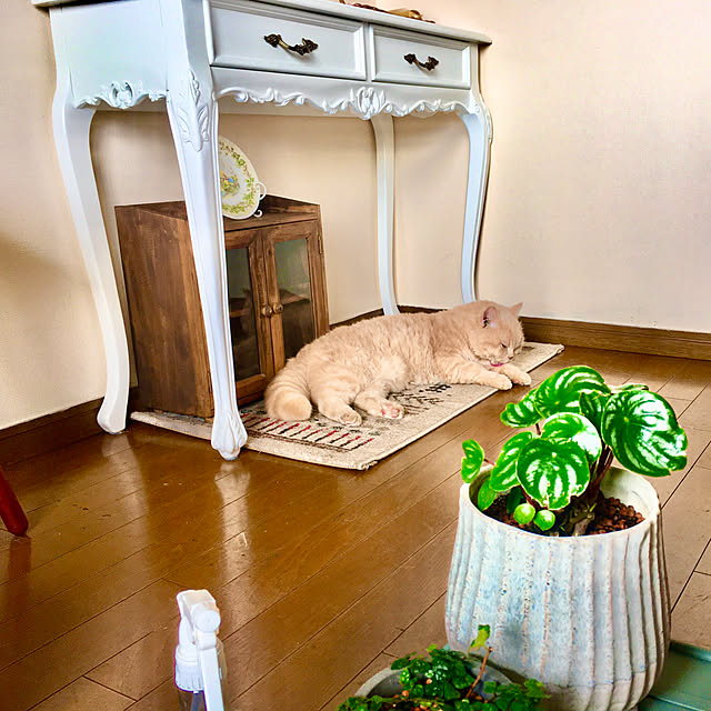 naokoさんの部屋