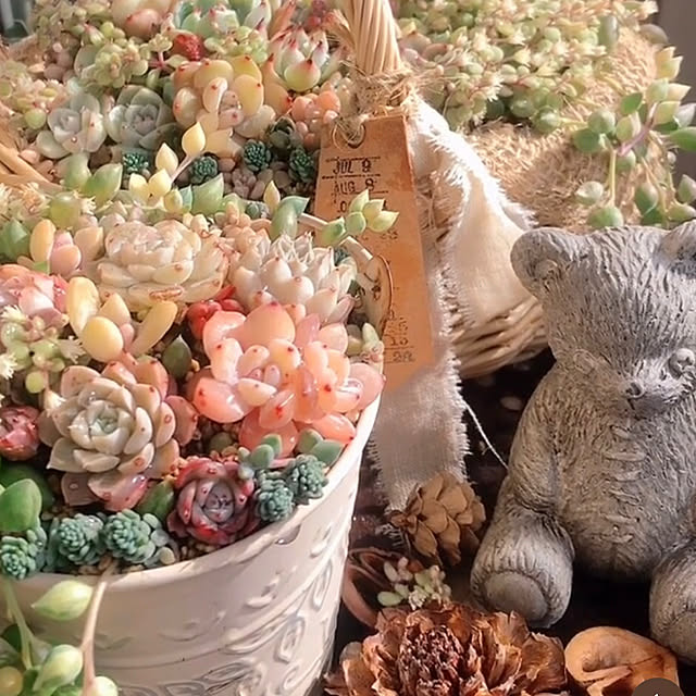 REI015mさんの実例写真