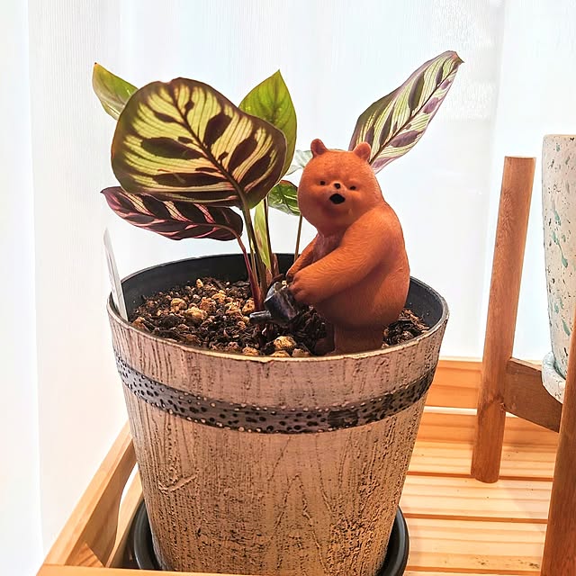 ponchanさんの部屋