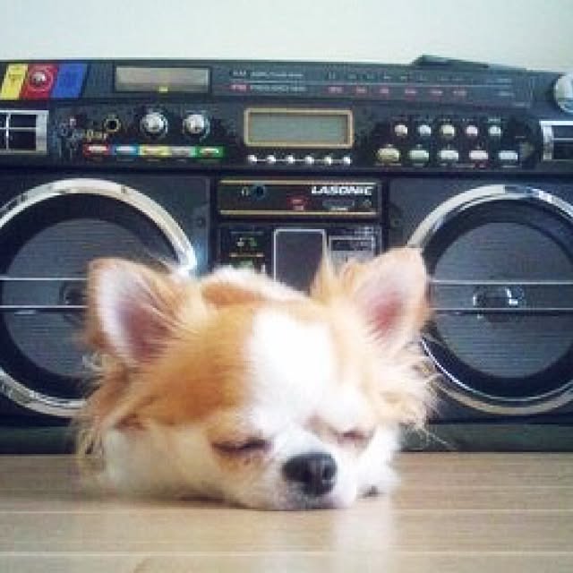 kinazukiさんの実例写真