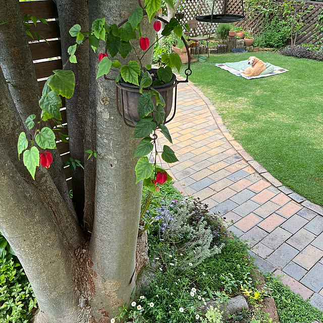 kuuさんの実例写真