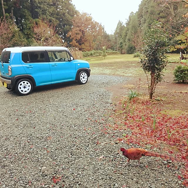 ichitaroさんの実例写真