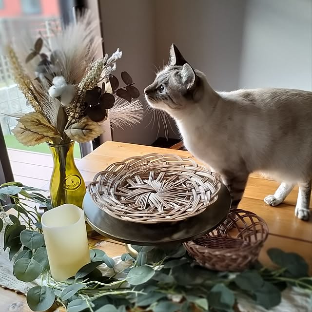 Atelier_tamakiさんの実例写真