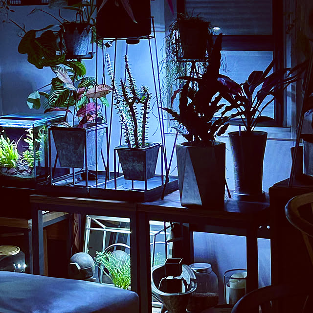 DAYONEさんの実例写真