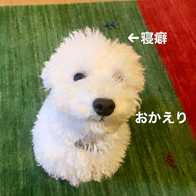 BUNさんの実例写真