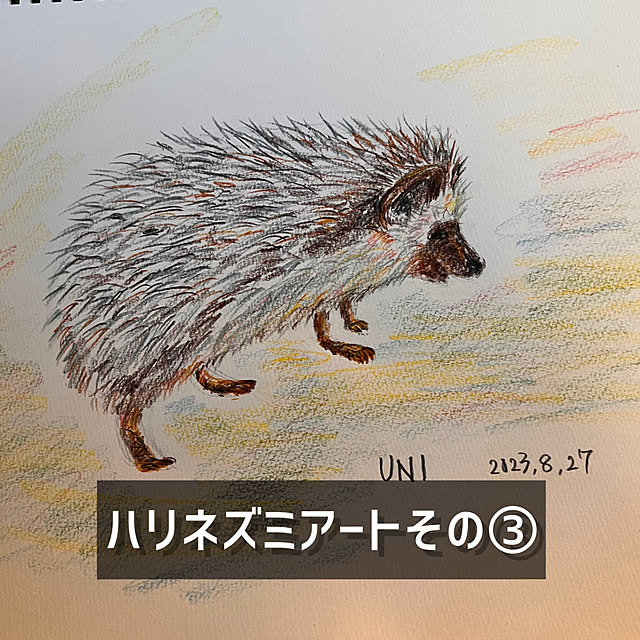 hirominkoさんの部屋