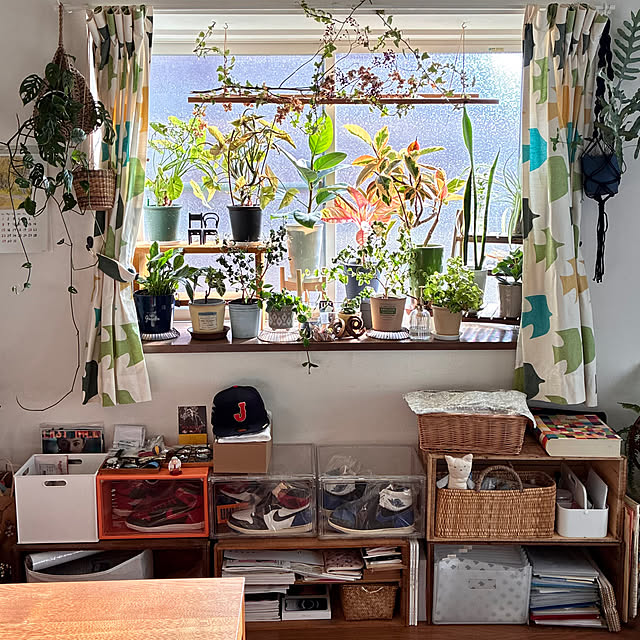 ayayayayaさんの実例写真