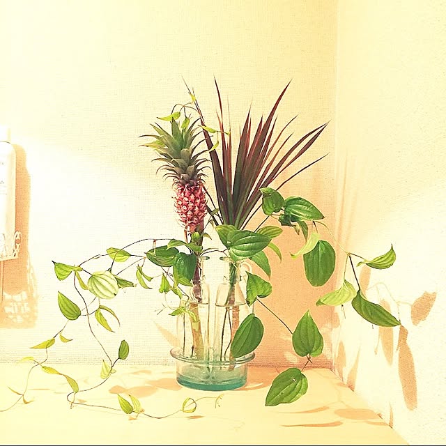 0505さんの実例写真