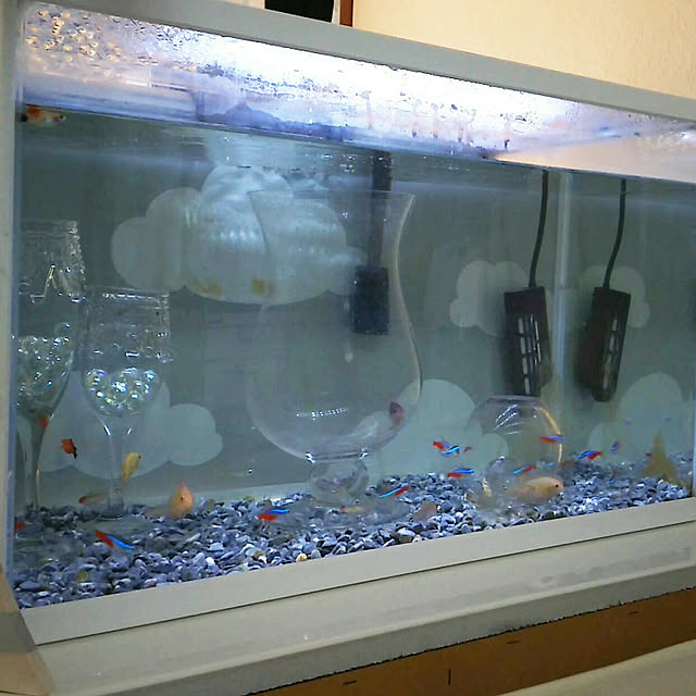 ...t_m_eee...さんの実例写真