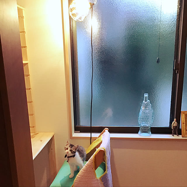 Aiさんの実例写真