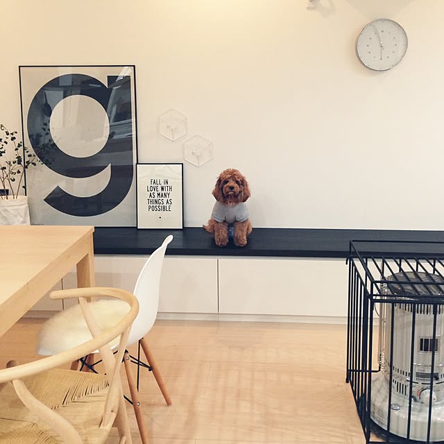 tomoさんの実例写真