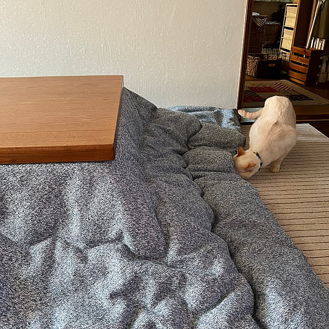 mohhaさんの部屋