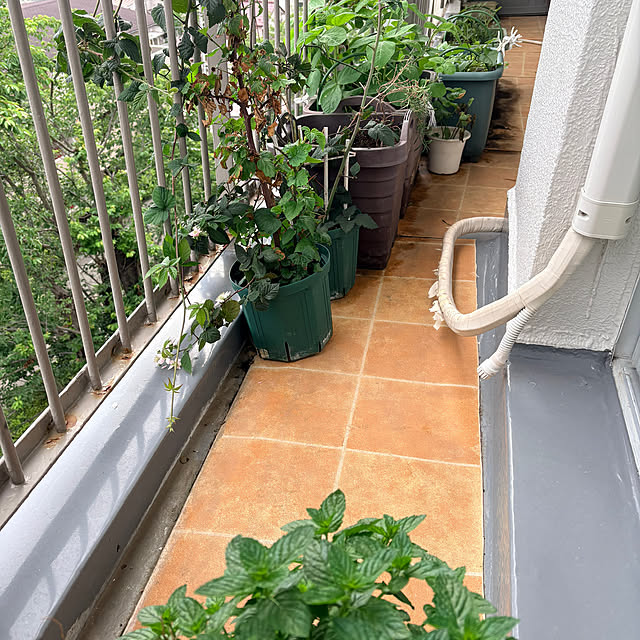 ManaShiさんの部屋