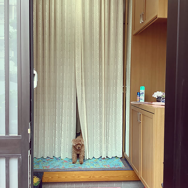 haruminさんの実例写真