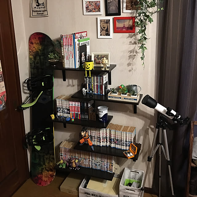 棚/フェイクグリーン/IKEA/100均/DIY...などのインテリア実例 - 2017-10-15 11:46:14
