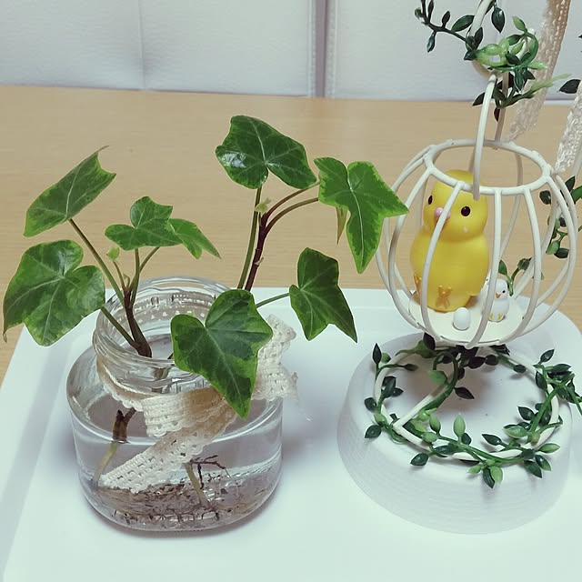 aquaさんの実例写真