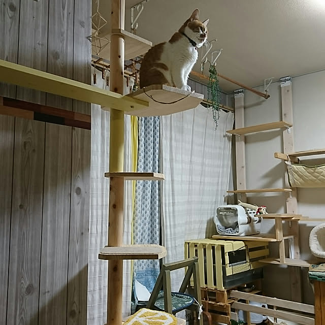 SHIHOさんの実例写真