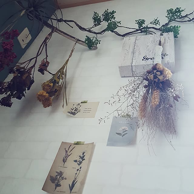 kyotaさんの実例写真