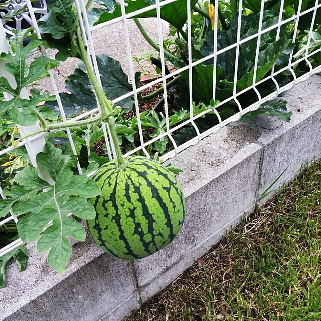 mokoさんの実例写真