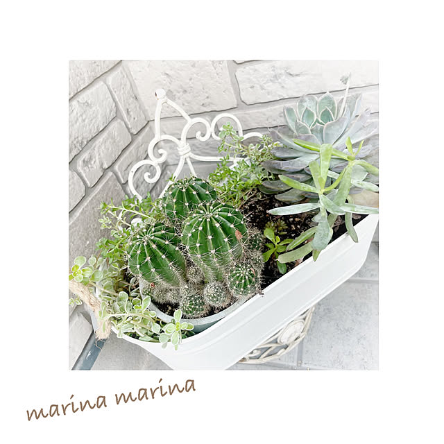 marina.marina.77さんの実例写真