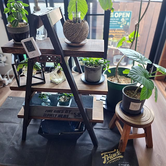 CYNOSさんの部屋