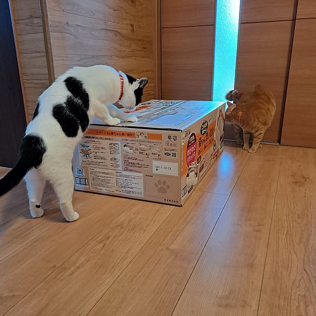 kiyohima229さんの部屋