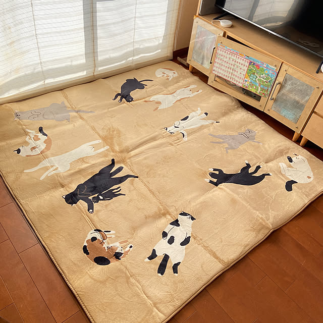 hansho.sさんの部屋