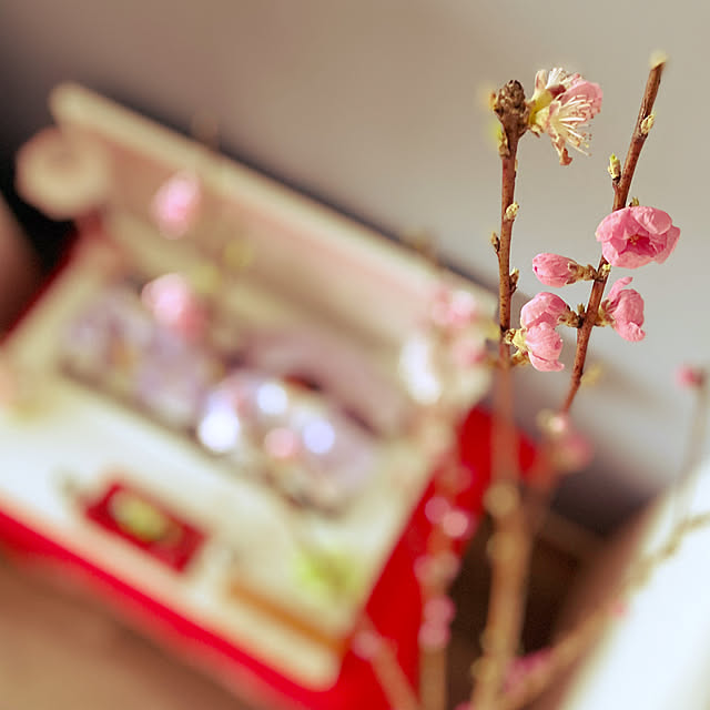 mikoさんの実例写真