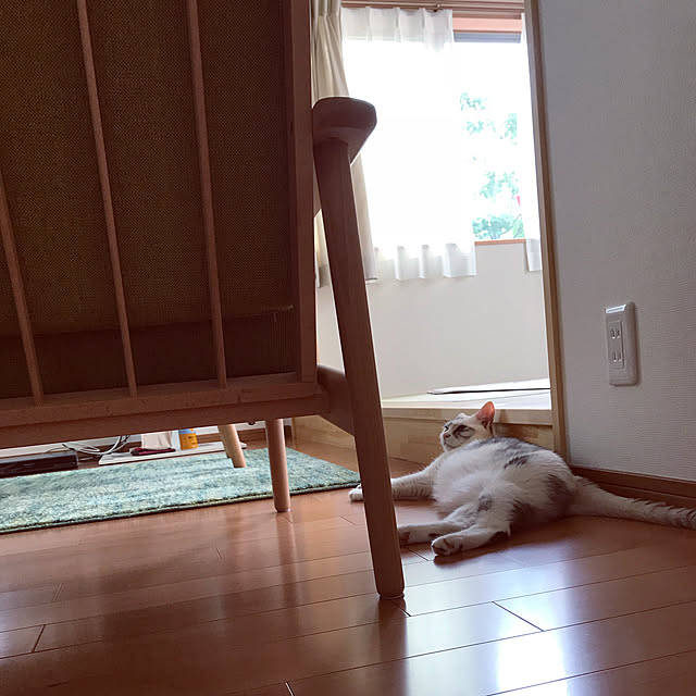 mo_chanさんの実例写真