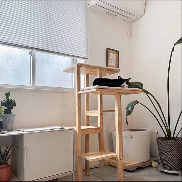 mako2yaさんの部屋