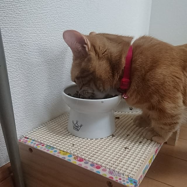 shinobuさんの実例写真