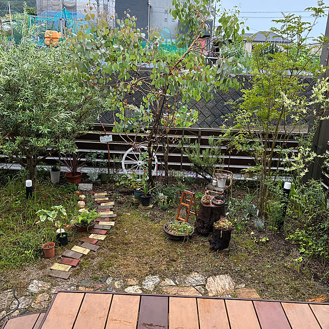 ayayayayaさんの部屋