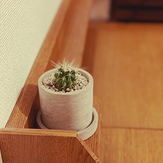 MONOさんの実例写真