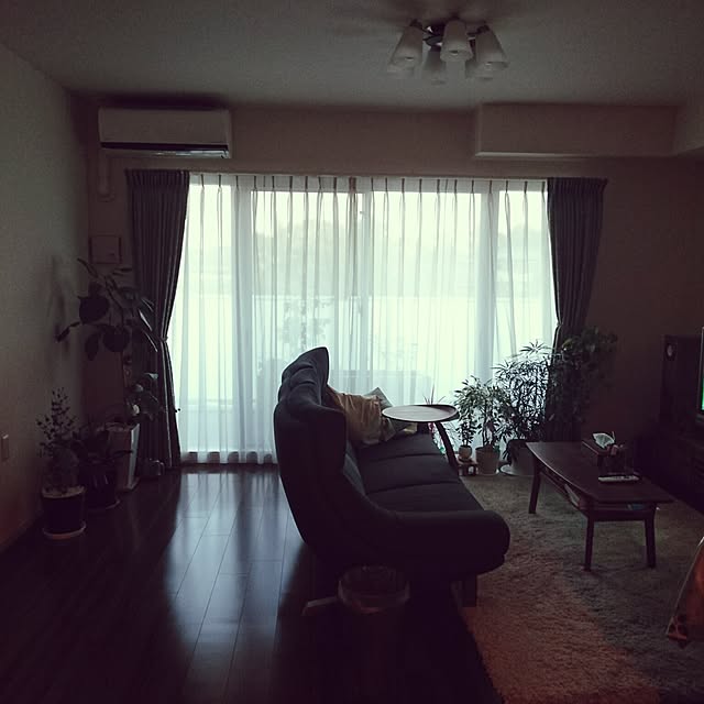 Mihoさんの実例写真