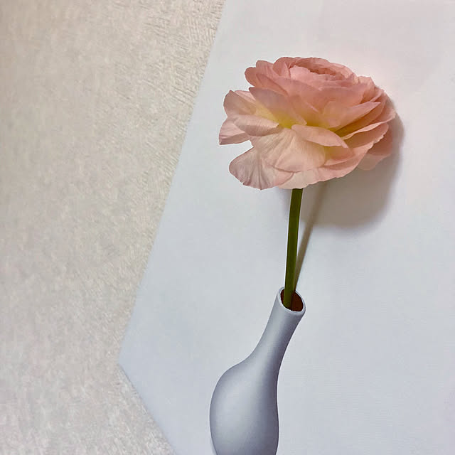 uae_e_9852さんの実例写真