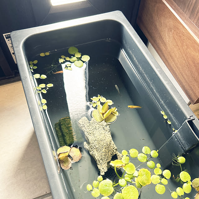 yunyumさんの実例写真