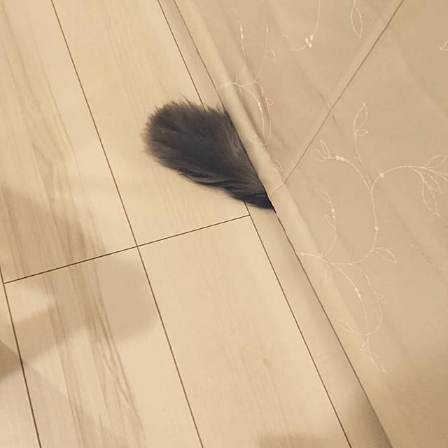 annetina374さんの実例写真