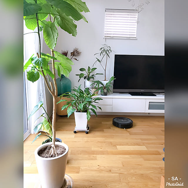 SAさんの実例写真