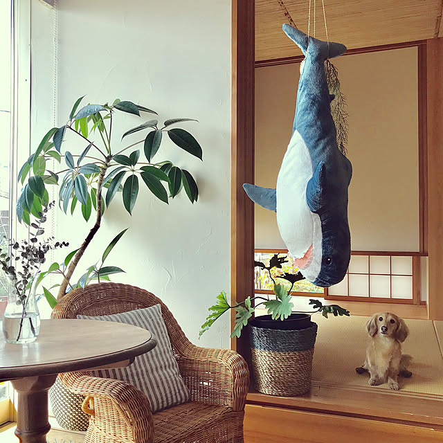 yukariさんの実例写真