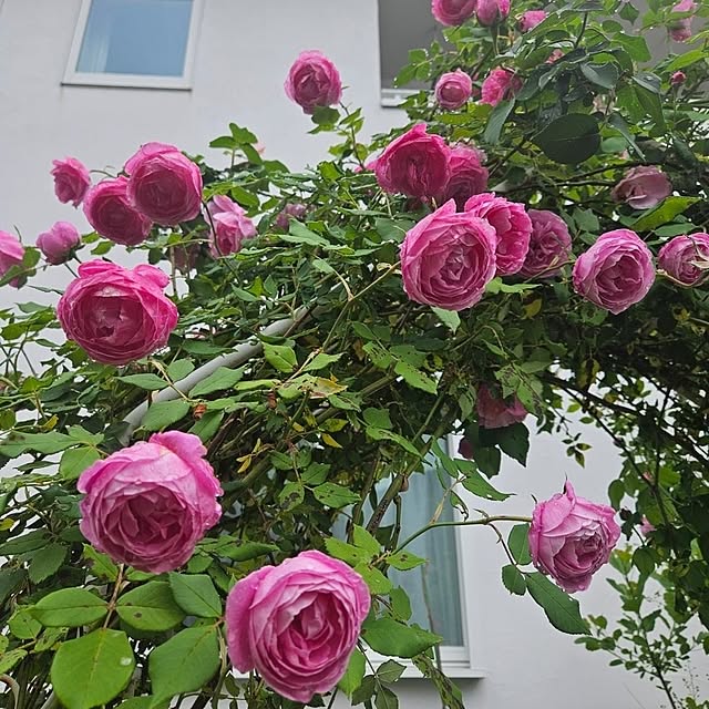 mayumiさんの部屋