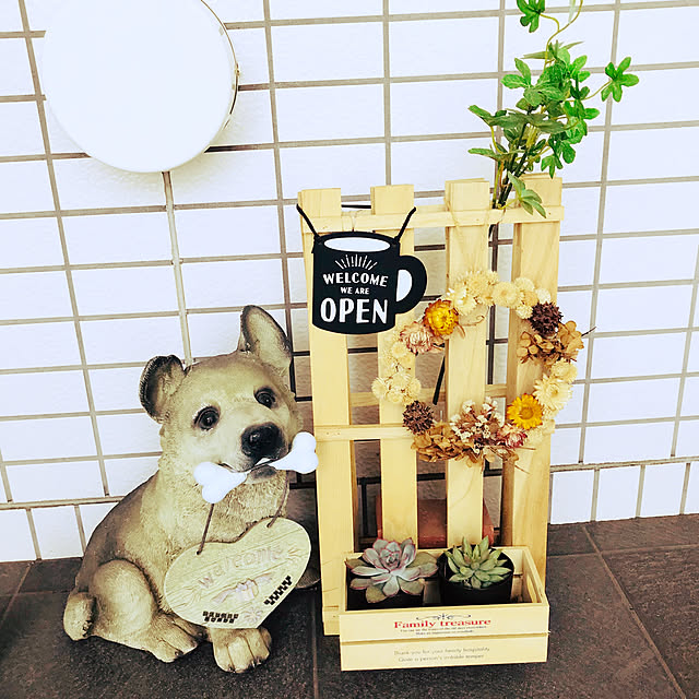 molpieさんの実例写真