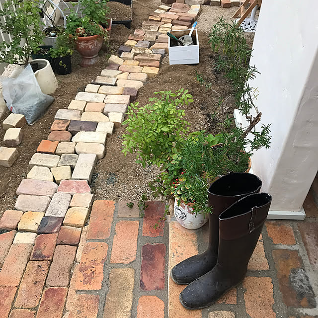 sakuraさんの部屋