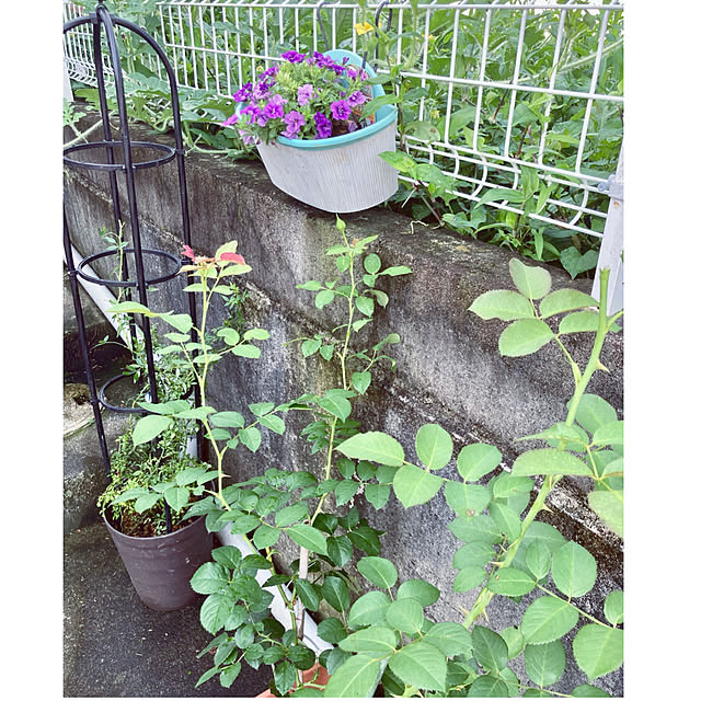 CoCo0617さんの部屋
