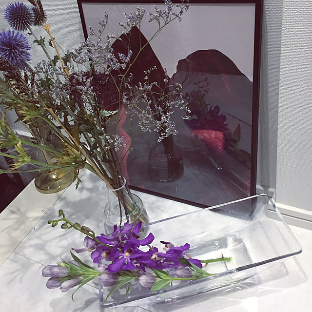 kaoruの-【生花】モカラ　カリプソ（濃いピンク）：：[10本]の家具・インテリア写真